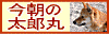 今朝の太郎丸